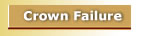 Failed Crowns